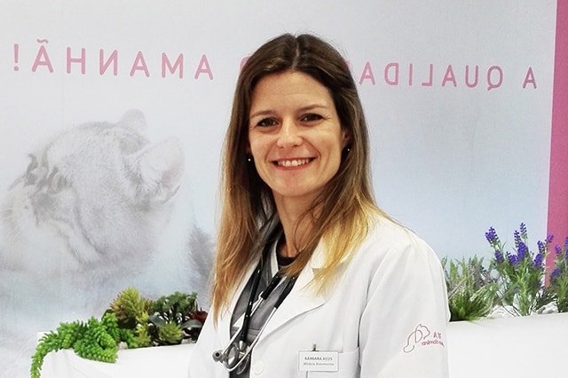 arf-animals-are-family-medica-veterinaria-barbara-assis